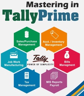 stepup comuter institute learn tally